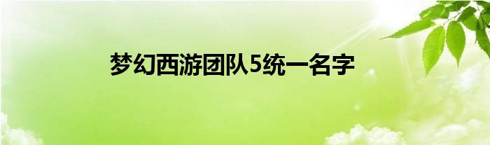 梦幻西游团队5统一名字